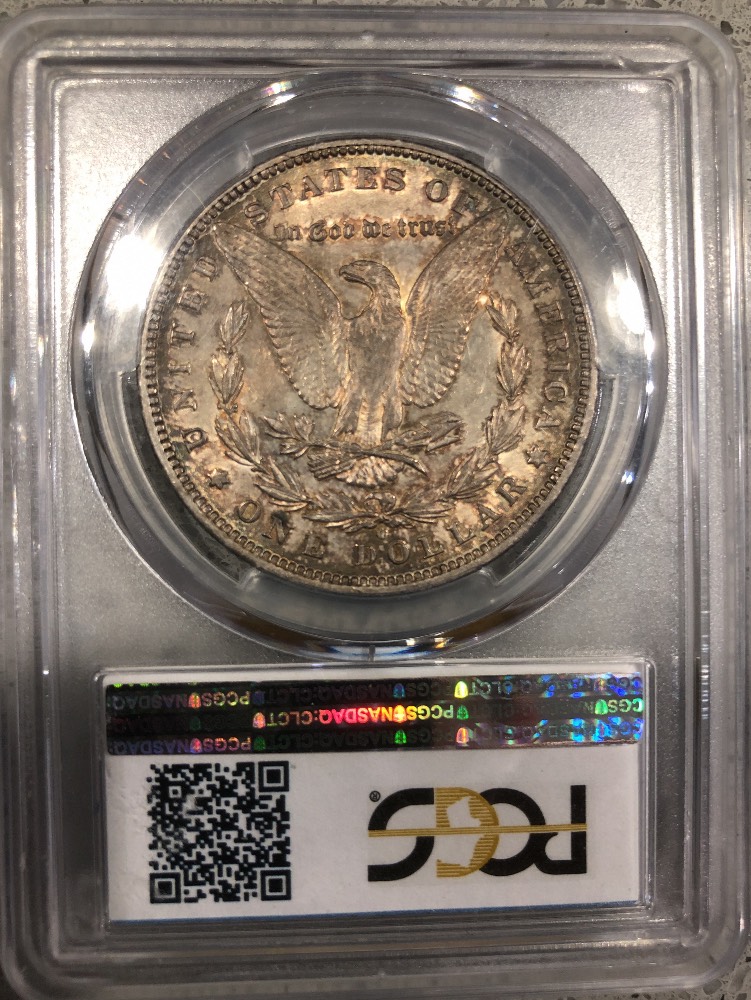 PCGS-Morgan-Dollar-Basic-Set